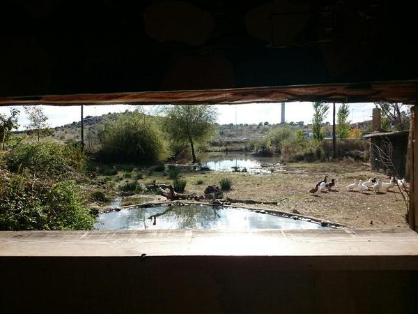 sanfelicesmovie's tweet photo. ¡Muchas gracias a @naturanavas por cedernos sus instalaciones para rodar el #BloqueVII de http://t.co/Svv8yfubmW http://t.co/ojUD8NjrgI