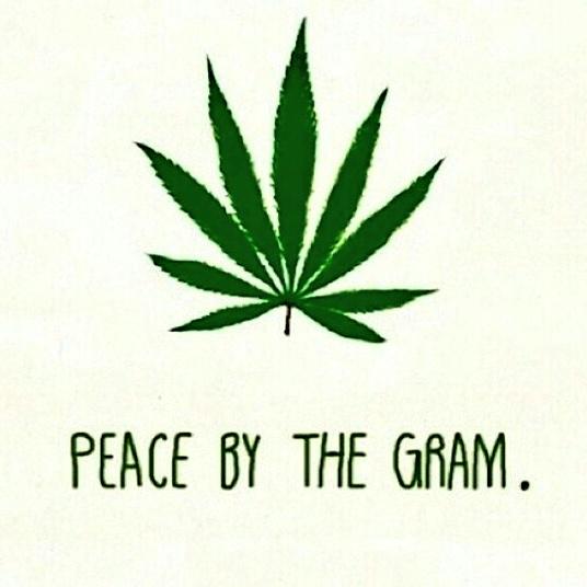 Dabsamakerdance's tweet photo. @maria21_o @dankmastermovie @Nugs_and_Drugs @gordomafufo @seattlecannabus S/O new Dopeness✌️💚💨 #Dabsamakerdance http://t.co/AIclogY3fH