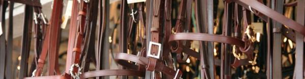 Caledon Fair tweet media