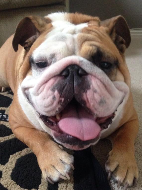 Embedded image permalink