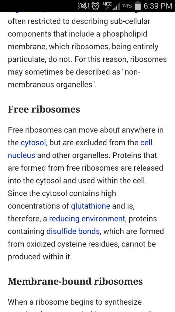 Ribohomies's tweet photo. @lysosome5lyfe @chloroplast52 bruh #goodthingyou'renotthenucleus #bergcan'thang #WHSorganelles2014 http://t.co/r7EKvHxjbP