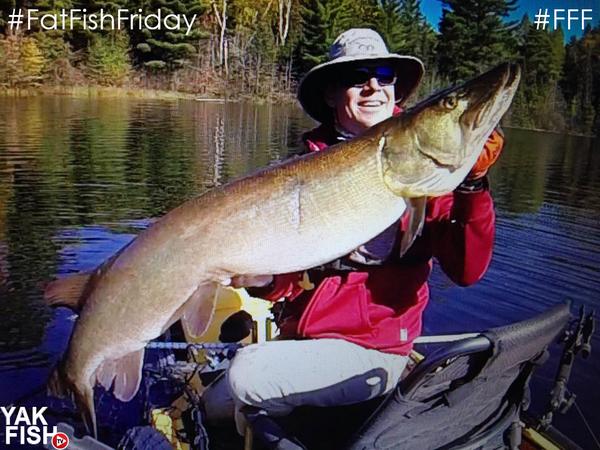 YakFishTV's tweet photo. Happy #FatFishFriday! This week we have Greg V. out of WI with this FAT 49" musky from his @HobieFish PA12! #FFF http://t.co/nPPbuS2wt9