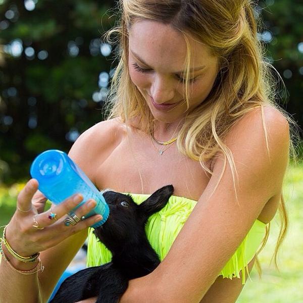 lovecandice_'s tweet photo. Arrrrrrr to cute @angelcandices #candiceswanepoel by weloveyouangelcandices #candice #candiceswanepoel #candicelo... http://t.co/m3E4mKRwbI
