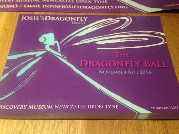 BlackbirdPont's tweet photo. @josiesdragonfly Dragonfly Ball coming up, we'll have info up tomorrow, great cause, great night @RosiesBarNCL http://t.co/fEw6er0dXf