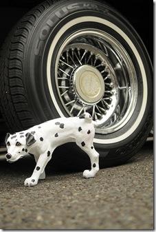 animalesmascota's tweet photo. Conducta de perros http://t.co/bHjePQ1Yl6 #adiestramiento #conductacanina #conductaperro #perros http://t.co/jrEUPWfcRK