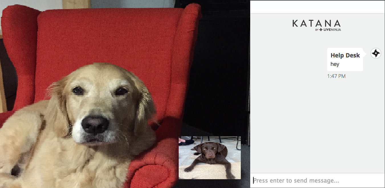 Embedded image permalink