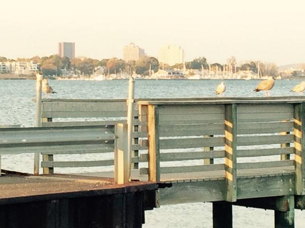 RuggieroRichard's tweet image. Chilling been cleared more surgery Tuesday on my knee/leg hopefully last one.