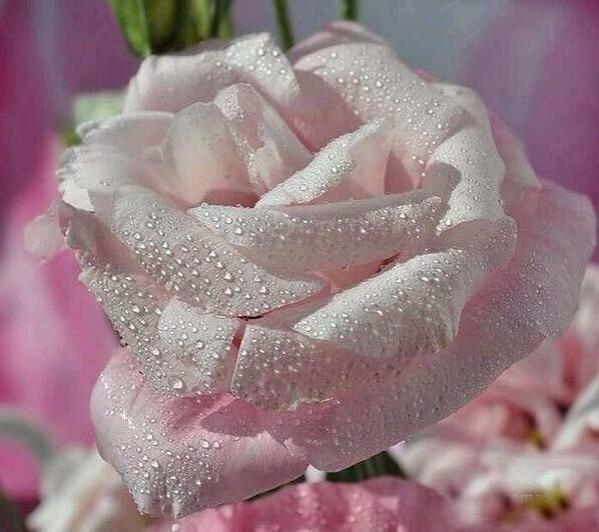 CjgjGdhh's tweet photo. @Shoojy991 http://t.co/WlzvDPGSHw