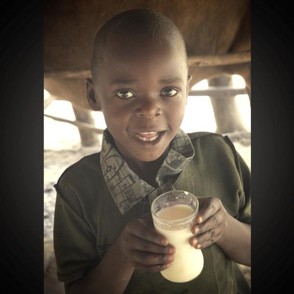 Heifer's tweet photo. Photo of the Week: Albert, 7, drinks a cup of milk in Balaka village of Zambia. http://t.co/fGFeSjizEW
