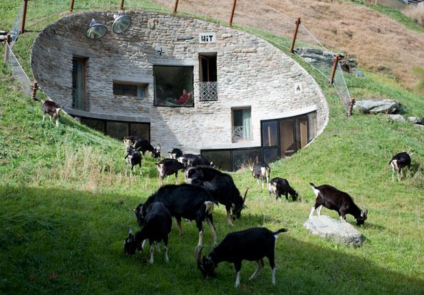 Embedded image permalink