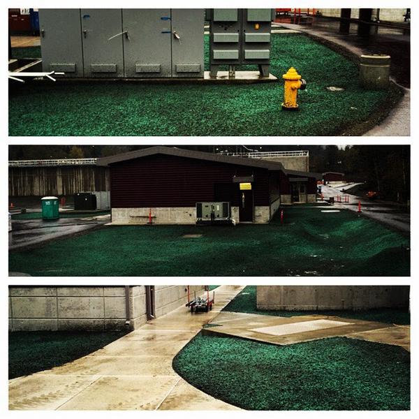 WAHydroseeding's tweet photo. Tacoma Power will soon have grass #ChinookHydroseeding #tacomapower @CityofTacoma http://t.co/ti0nZi5ajj