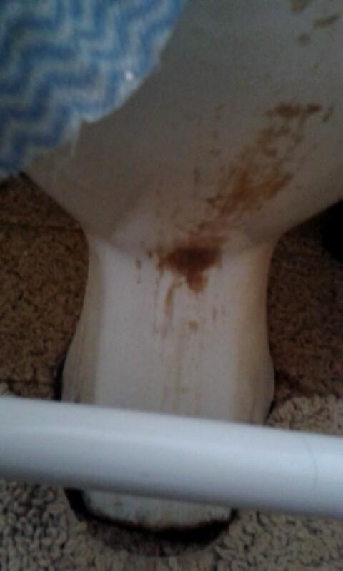 charsrants_'s tweet photo. How can people even shower in this, I'll feel dirty after my shower then before 👊, #workdeez! #nearlyspewed. http://t.co/9pSVTu02iA