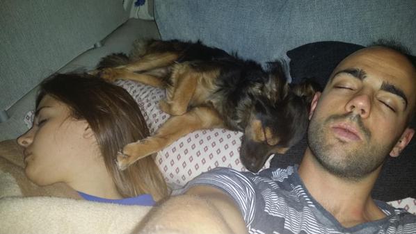 davicin_diaz's tweet photo. Se puede dormir mejor? ? @ErikaGameroBerm  #simba #lagloria!! http://t.co/GuuwWC2PLL