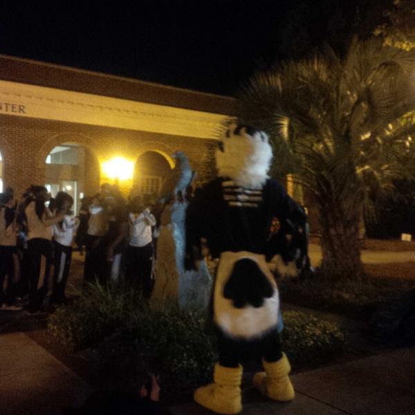 GoUNCW's tweet image. Sammy, checking out his bronze doppelganger. #meta #staystatuestay