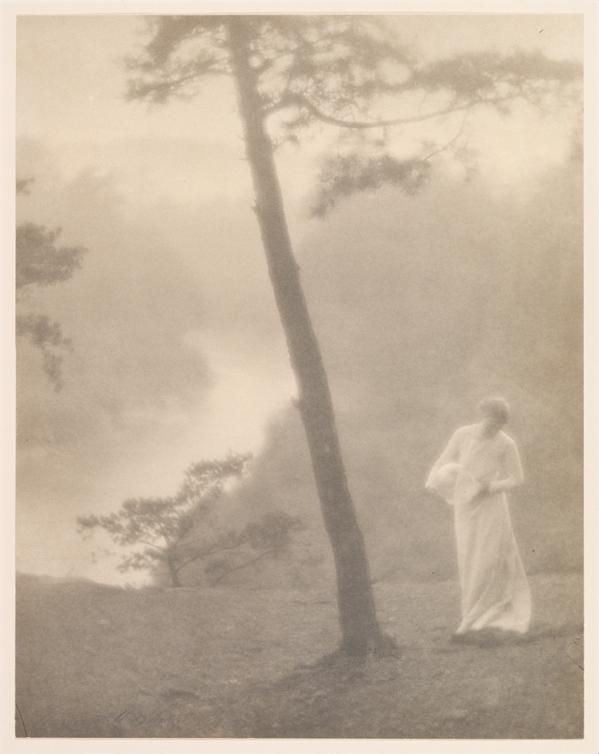 "Morning" perfectly embodies the tenets of Pictorialism: beautifully-rendered painterly works. met.org/1DiUawl