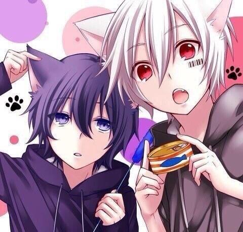 ログアウト Pe Twitter Happy Birthday 彡おめでとおおお まふまふ生誕祭14 まふまふ好きな人rt まふまふ8しゃいの誕生日 まふまふクラスタ繋がろう Rtした人全員フォローする 相互限定 Http T Co 2jnztaghyl Twitter