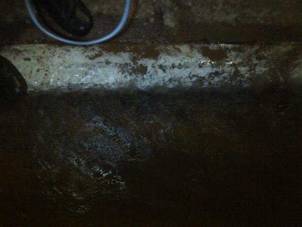 wiloveoficial's tweet photo. Se requiere del apoyo de .@hidrocaribe para solventar un tubo averiado en la Calle 14, Guaraguao, #PLC. @Alcaldia_PLC http://t.co/rAqWw7pA5R