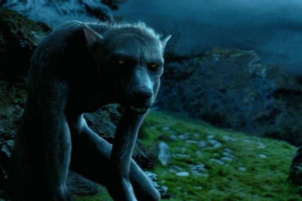 darkraventhegod's tweet photo. @RadicalFreddy ah woooooo ahah wooooo http://t.co/46MdyXfviO