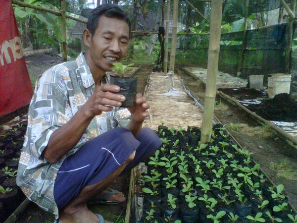 CV_GLM's tweet photo. Kami membina &amp; membuat fasilitas mini greenhouse dgn tjuan mensjhtrkn msyrkt yg berkerja sama &amp; berkomitmen dgn kami. http://t.co/tj52PHJ7PO
