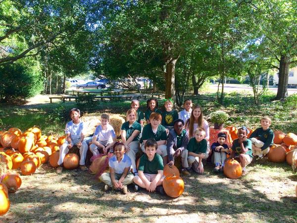 mspaynesclass1's tweet photo. Happy Fall from Ms. Payne's class!! @dodgeelementary http://t.co/f8y2Br4IAw