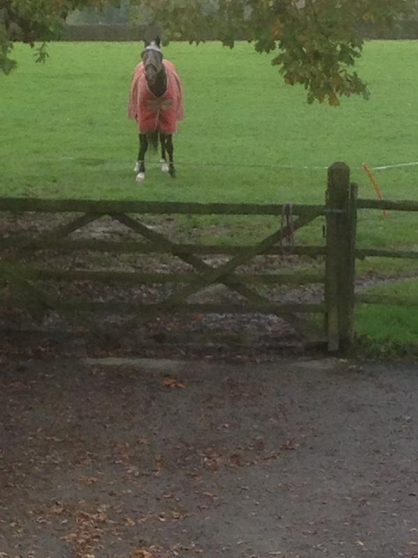 View from mum's office- she's so lucky! #blotonthelandscape #exracers