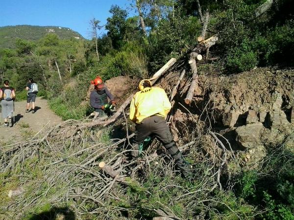 Avui treball amb motoserra x retirar arbres del camí a la zona de Can Sunyer #lagarriga <a href="/ajlagarriga/">Ajuntament de la Garriga 🎗️</a>
