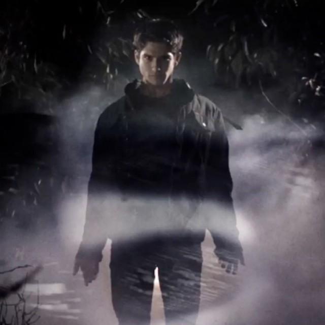 Happy  birthday Tyler Posey....  I love you.....Congrulations .
I love your job. 
