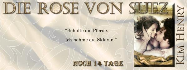 KimHenry2013's tweet photo. #teaser des Tages #kimhenry - Der Countdown läuft, zwei Wochen bis zum hoffnungslos romantischen neuen Roman http://t.co/vvc71Z16Nj