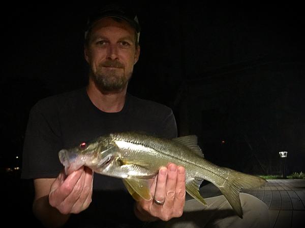 _mwallace's tweet photo. Juvi 10lb Tarpon and a little Fat Snook tonight. #smallbaits #RTD http://t.co/Dd1CdGyPW1
