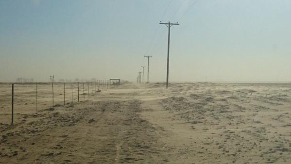 Alri Vorster (@alrivorster) on Twitter photo 