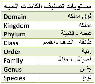 مستويات التصنيف في المخلوقات الحية