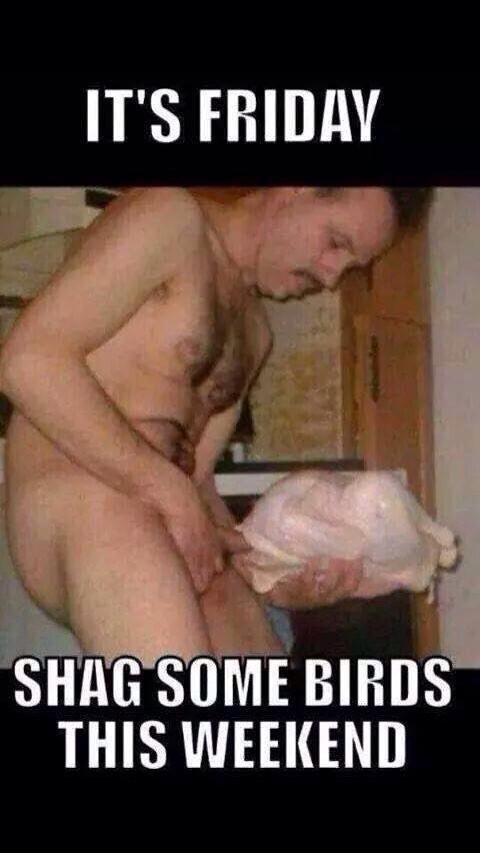 PortentEoin's tweet image. RT and this weekend you will shag a bird!!!