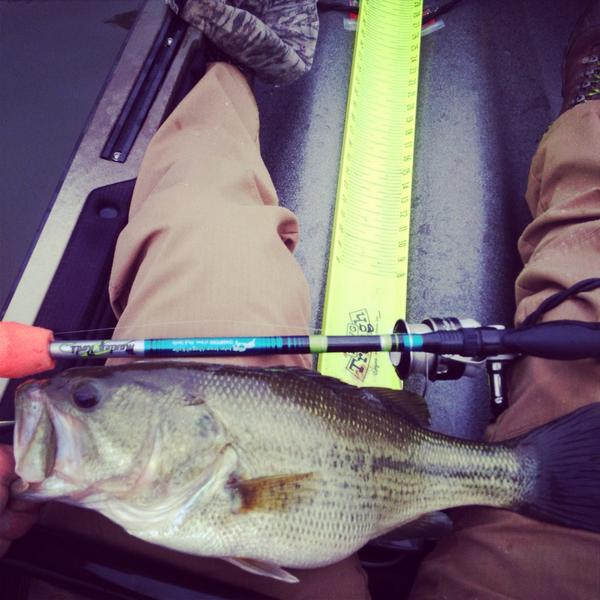 KayakTn's tweet photo. Love #fallfishing #manleyrods #HOOK1KFG #kayakfishing #Rapala #rippinlips #lunkerhunting http://t.co/h1YLXwG2ub