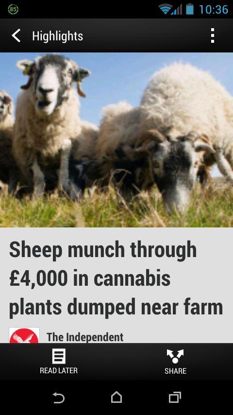 conboyj's tweet image. Lol,sheep off there heads ba!!!!