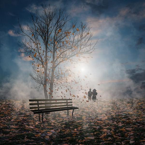 Fall..... by Christine Ellger 
Via <a href="/letutto/">Letutto+</a> <a href="/chaebae/">Chae H. Bae (303) 351-5500</a> <a href="/hijiri_kouya/">半沢</a> <a href="/fmpreuss/">Frank-Michael Preuss</a> @8270chihaya <a href="/drkent/">Dr. Kent</a> <a href="/alphabetsuccess/">Tim Fargo</a>
