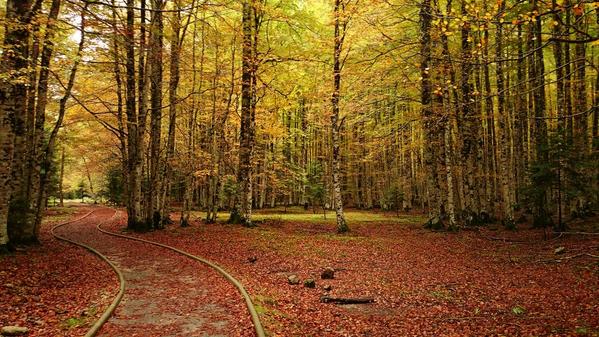 aquilatierratve's tweet photo. ¡Precioso! RT @RavenCT78: @aquilatierratve @jacobpetrus_tve #Otoño en el Parque Nacional de #Ordesa y Monte Perdido. http://t.co/8fGlP1JrnK