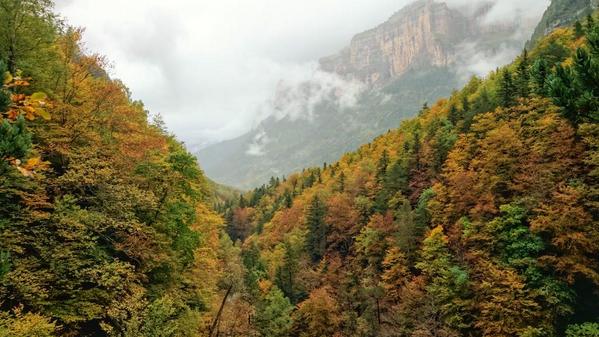 aquilatierratve's tweet photo. ¡Precioso! RT @RavenCT78: @aquilatierratve @jacobpetrus_tve #Otoño en el Parque Nacional de #Ordesa y Monte Perdido. http://t.co/8fGlP1JrnK