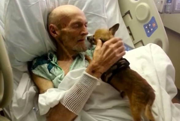 Watch moment stricken patient makes shock recovery after being reunited with pet dog mirr.im/1FgDWWA