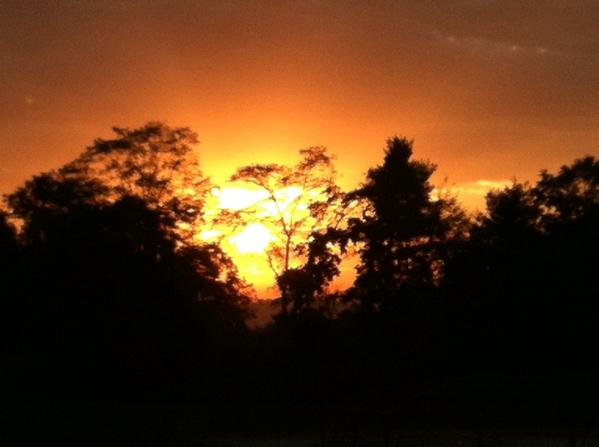 A new day brings new opportunities and renewed hope. Seize it and make it count!