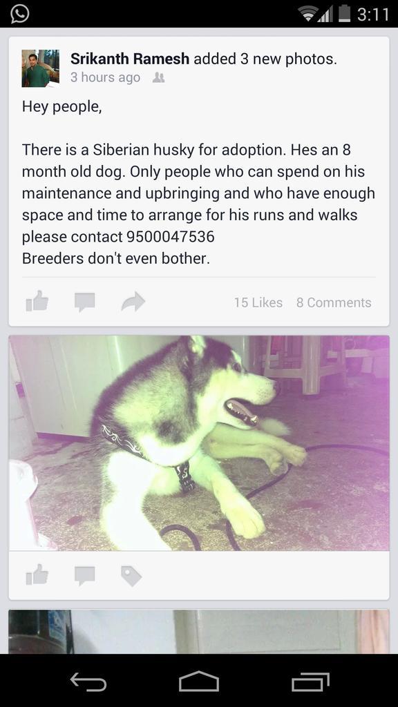 Embedded image permalink