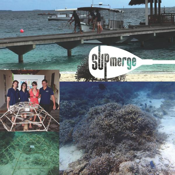 Pretty stoked to see how much our branch coral project is thriving in the Maldives after 4 years! <a href="/Reefscapers/">Reefscapers</a>