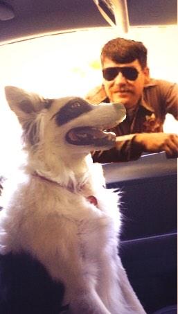 jordyncantrell's tweet photo. When your car smells like Kibbles N Bits and you're trying to play it cool http://t.co/5GBNgr1ExY
