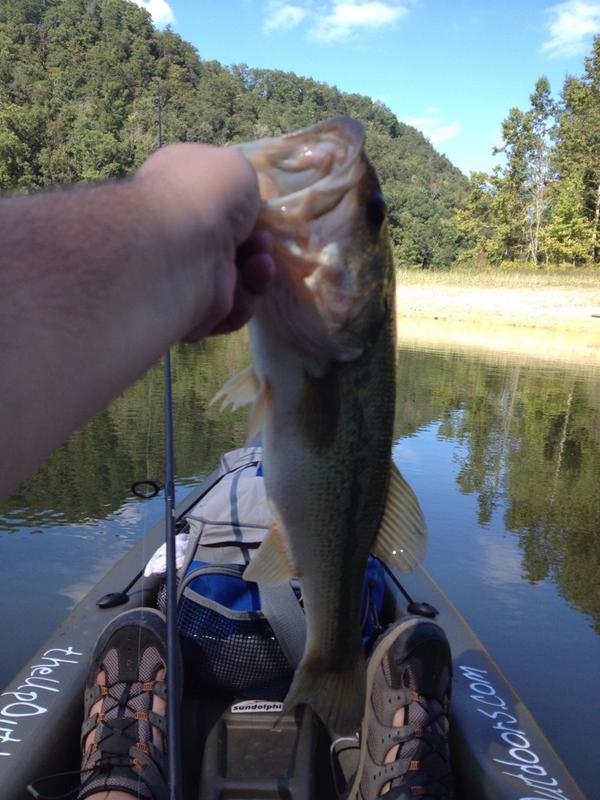 Anybody catching any? #bass #bassnation #fishing theupoutdoors.storenvy.com