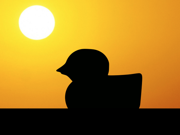 Matt MacBeth tweet media