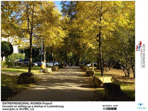 LPBC_lu's tweet photo. Another beautiful October Saturday &amp; ENTREPRENEURIAL WOMEN Project! at @uni_lu http://t.co/NoaF8OKovy