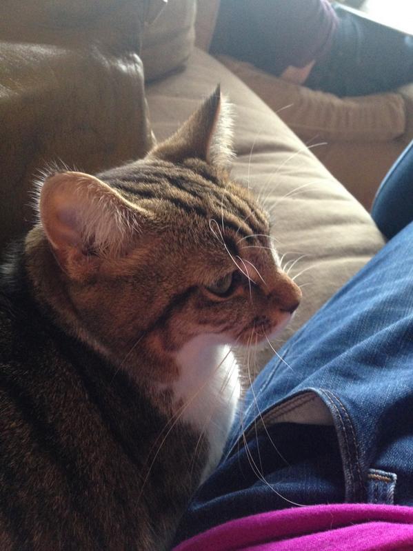 sarahbenton's tweet image. Saturday afternoon friend #hardtomove