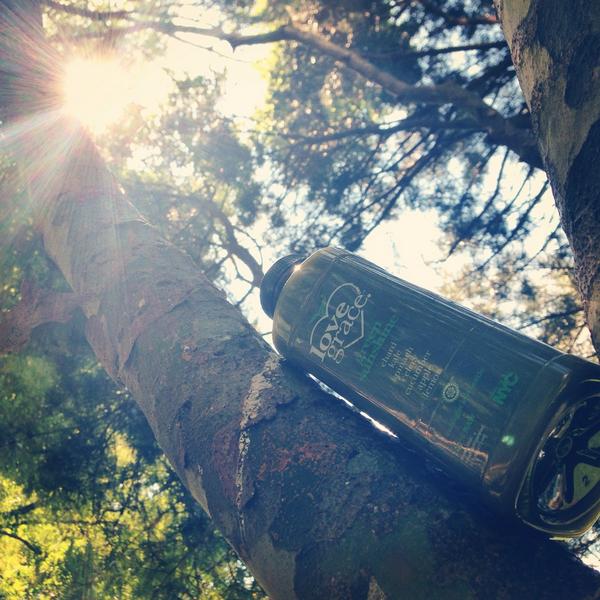 Lovegracejuice's tweet photo. Keep your face toward the sunshine and amazing things will happen! #greensunshine #LoveGraceLifestyle http://t.co/z4EV6Z4s6U