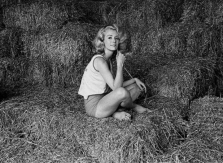 Happy to Inger Stevens 