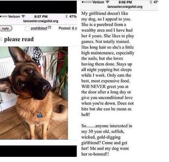 CauseWereGuys's tweet photo. Dogs > Girls http://t.co/xpqi5UKdJh