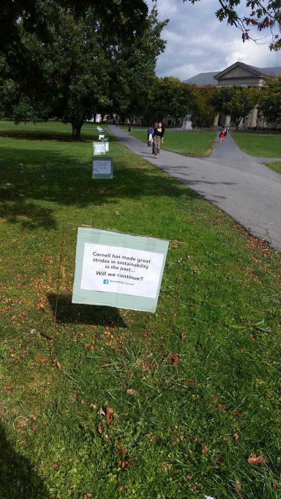 DivestCornell's tweet photo. Check out our beautiful signs on the arts quad! Progress doesn't stop here! #Divest NOW! http://t.co/mgAS64e4w5